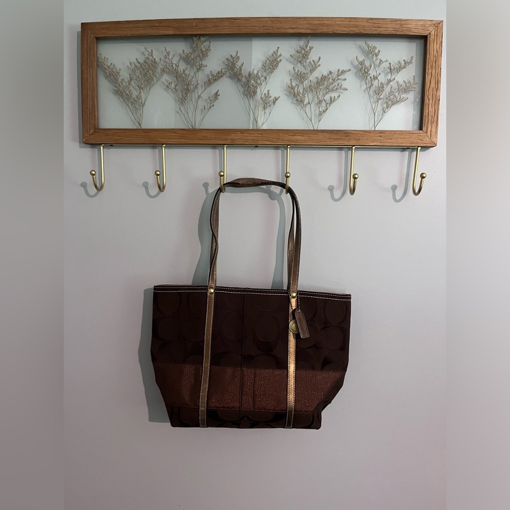Coach Signature Stripe Brown Canvas Small.